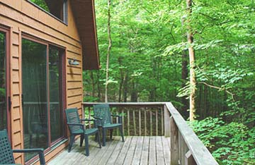 Home surrounded by trees