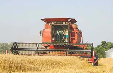 Farm tractor harvesting wheat