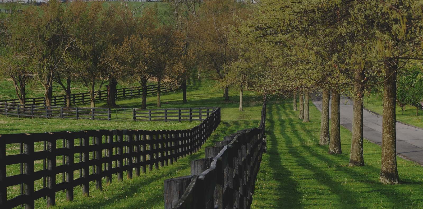Fence line on a grassland