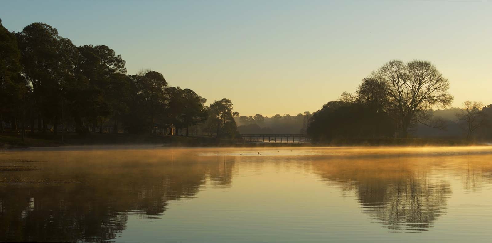 Lake in Alabama