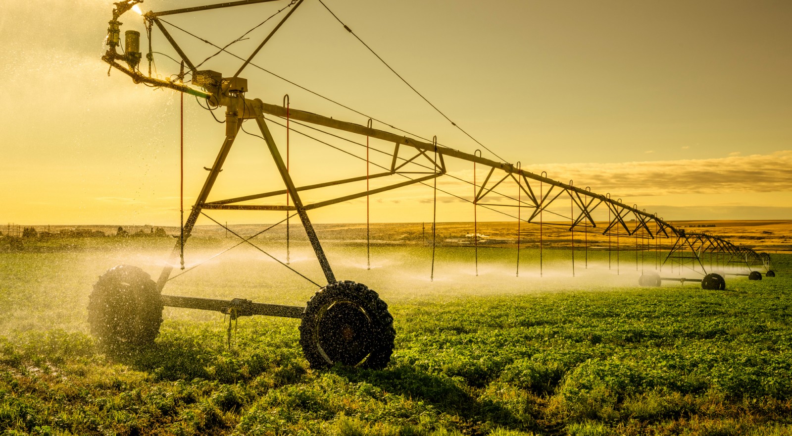Machine spraying fertilizer on crops