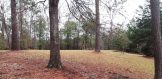 wooded 15 acres - Copy