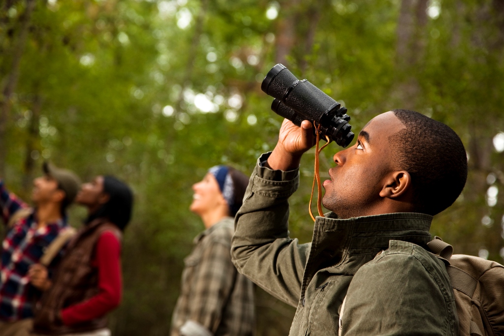 Birding in Alabama