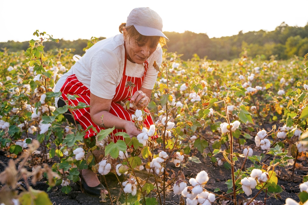 Alabama Agriculture: 5 Fast Facts - Bill Mackey