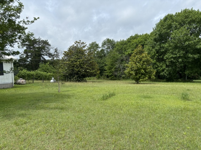 88 Starmont Court, Gallion