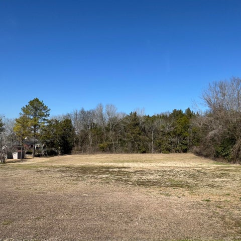2004 Olive Ave Demopolis Lot
