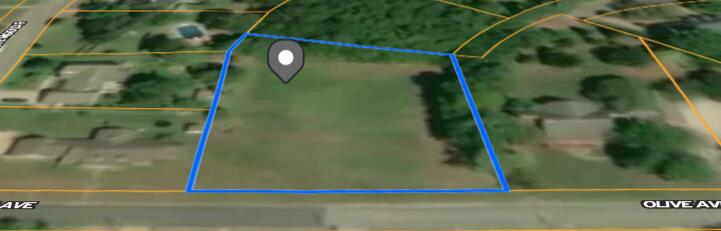 2004 Olive Ave Demopolis Lot