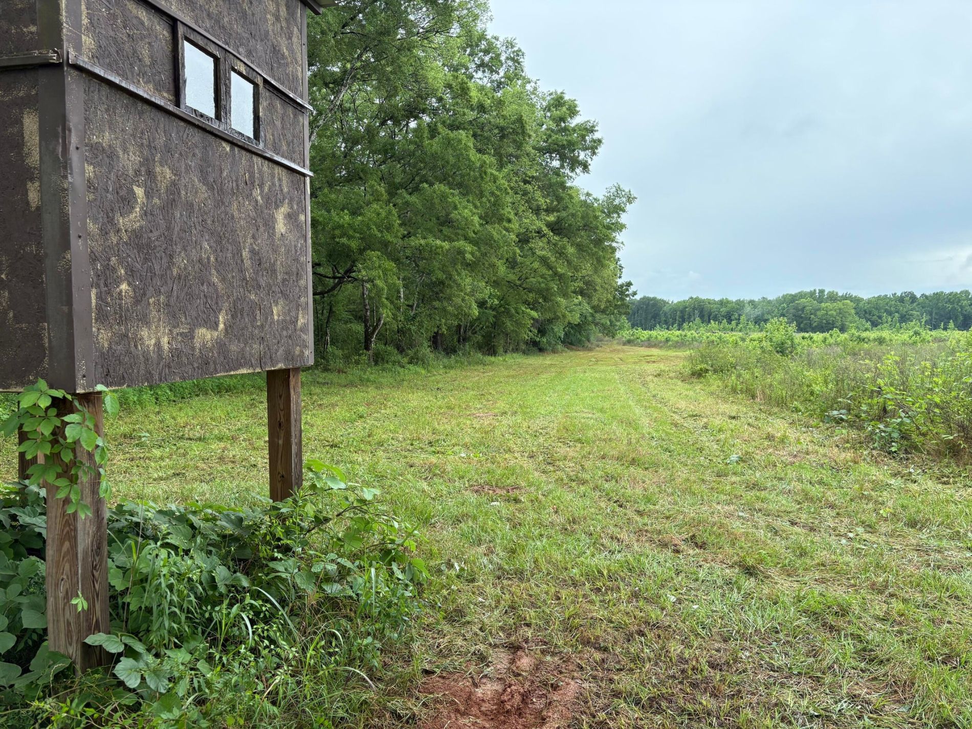 2199 Taylor Road, Moundville