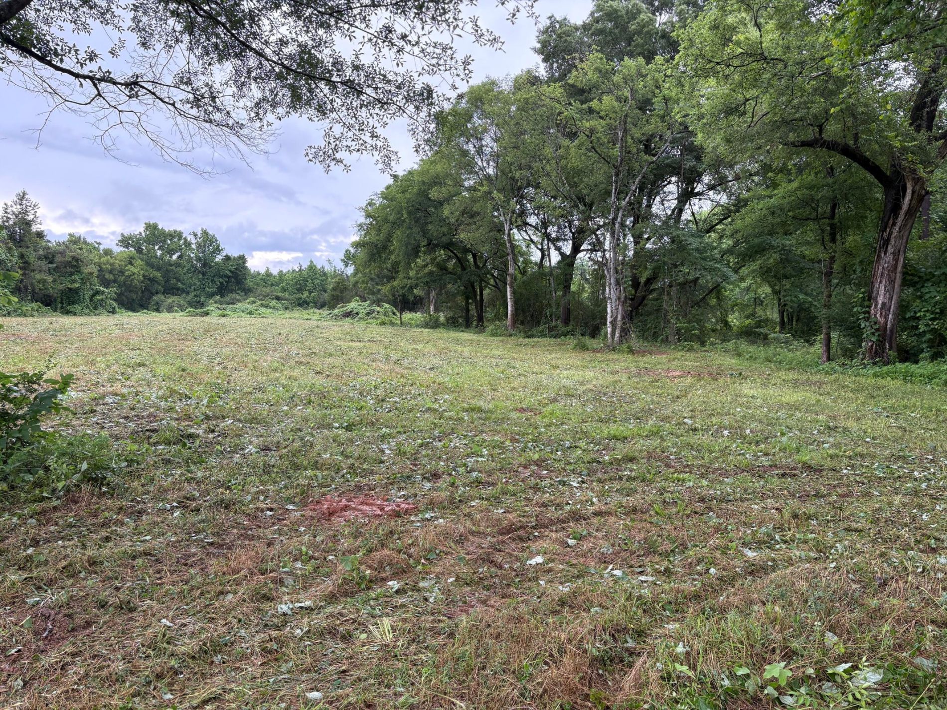 2199 Taylor Road, Moundville