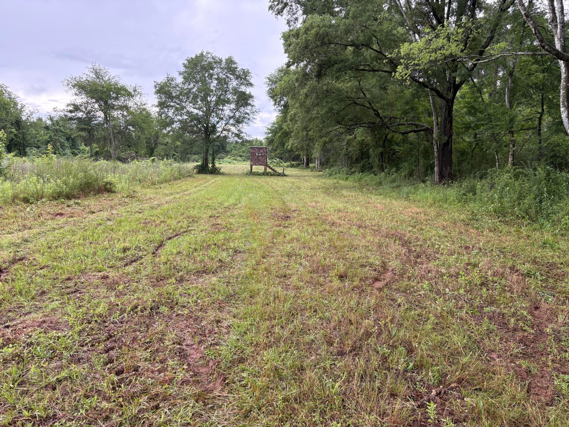 2199 Taylor Road, Moundville