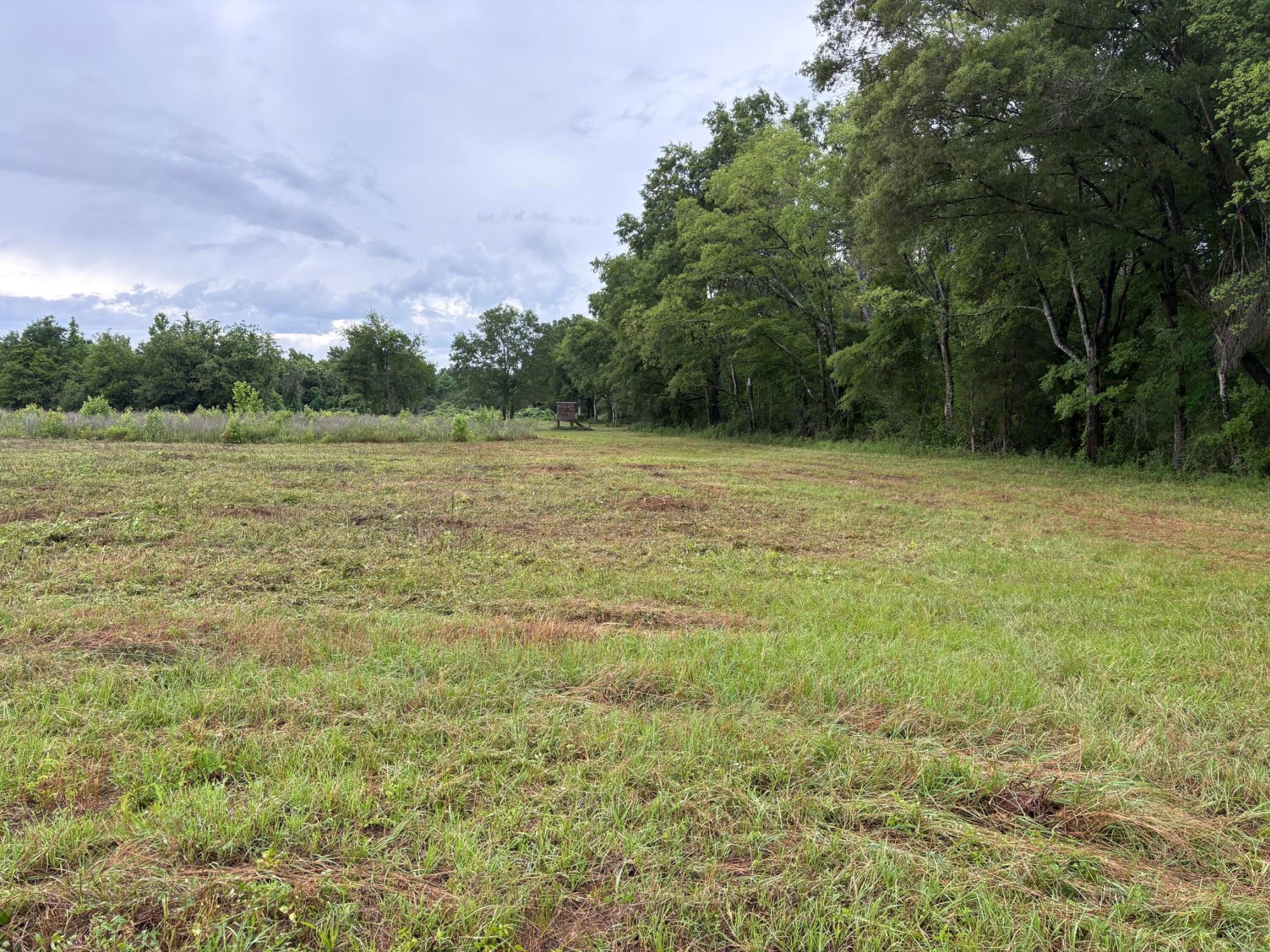 2199 Taylor Road, Moundville