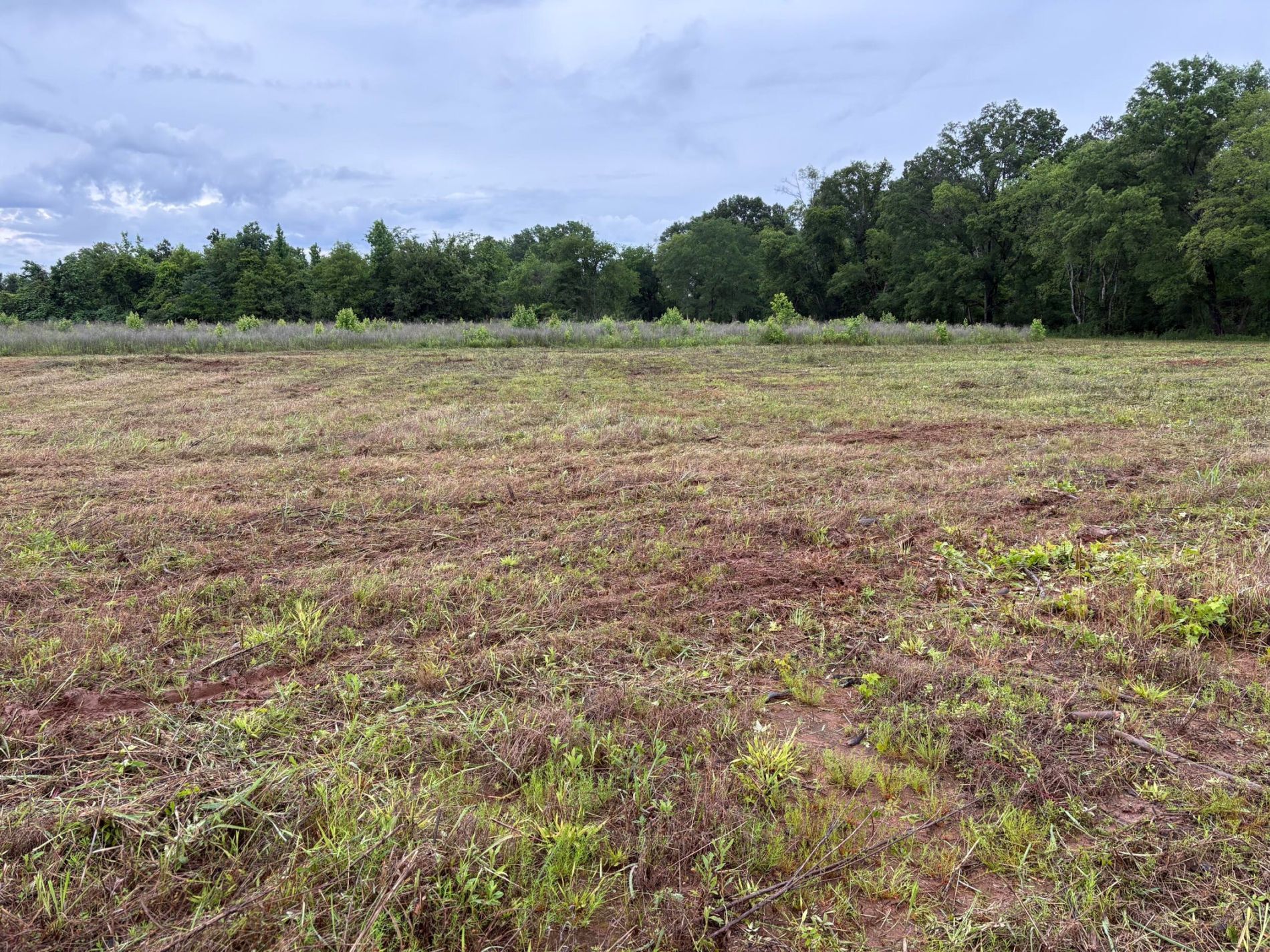 2199 Taylor Road, Moundville