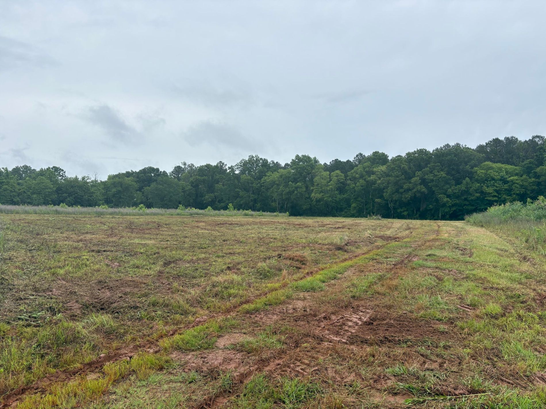 2199 Taylor Road, Moundville