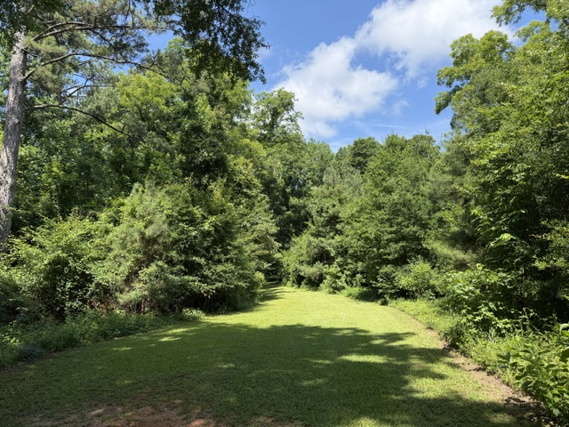 8851 County Road 59, Pine Apple