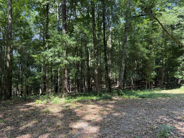 8851 County Road 59, Pine Apple