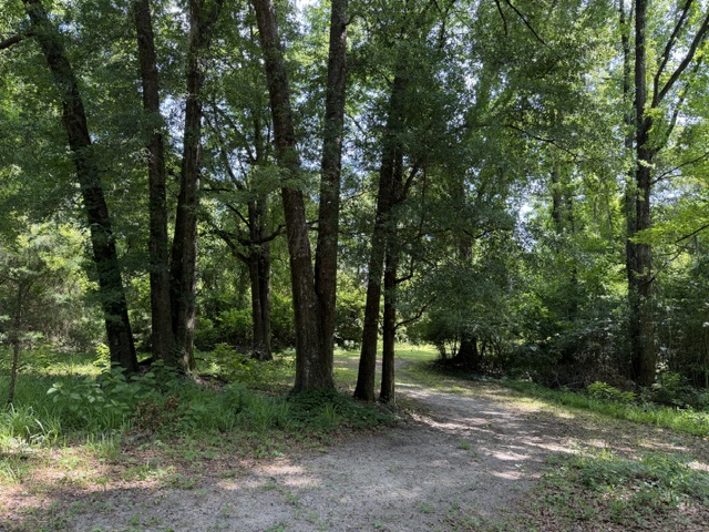 8851 County Road 59, Pine Apple