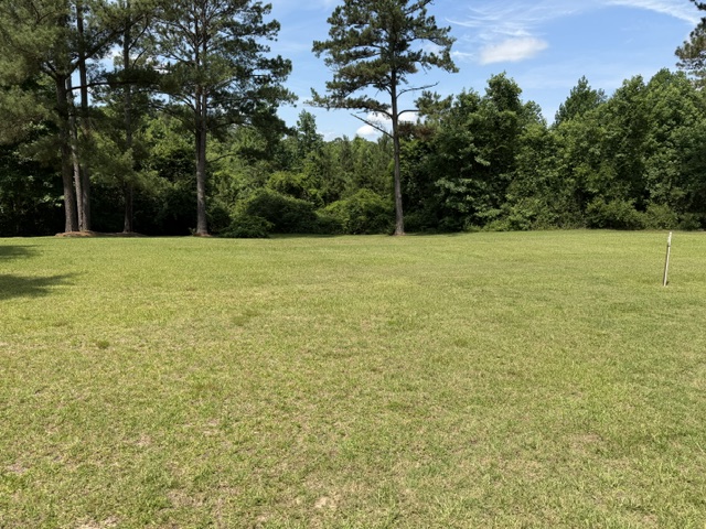 8851 County Road 59, Pine Apple