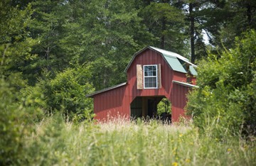 Farm